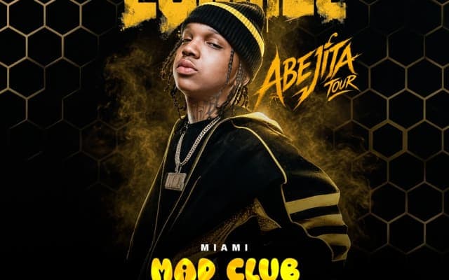 LOMIEL ABEJITA TOUR